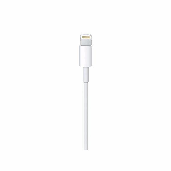 Apple USB C to Lightning Cable 2M | Klikk Malta