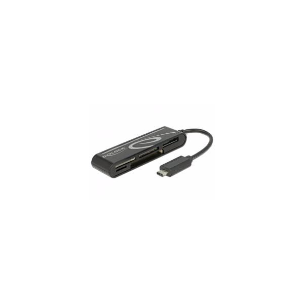 Delock USB C Memory Card Reader | Klikk Malta
