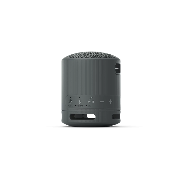 Sony SRS-XB100 Bluetooth Speaker Black | Klikk Malta