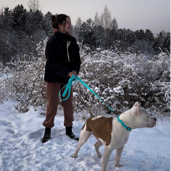Waudog Waterproof 183cm Luminescent Dog Lea... | Klikk Malta