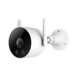 Surveillance Cameras