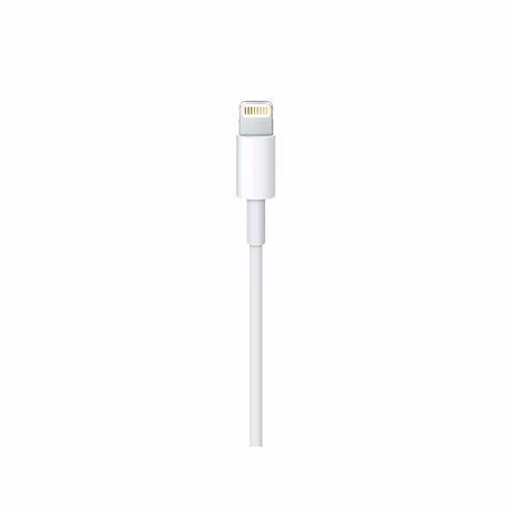 Apple USB-C to Lightning Cable 1m | Klikk Malta