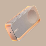 Bose SoundLink Home Speaker Silver | Klikk Malta