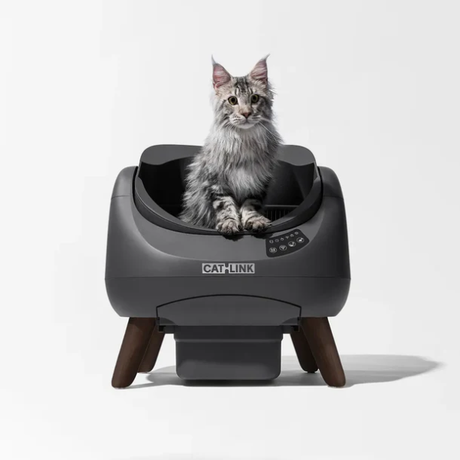 CATLINK Scooper C08 Open-X Automatic Cat Li... | Klikk Malta