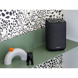 Denon Home 150 HEOS Smart Speaker Black | Klikk Malta