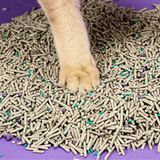 PETKIT 5-in-1 Mixed Cat Litter Bag 3L 3-pack | Klikk Malta