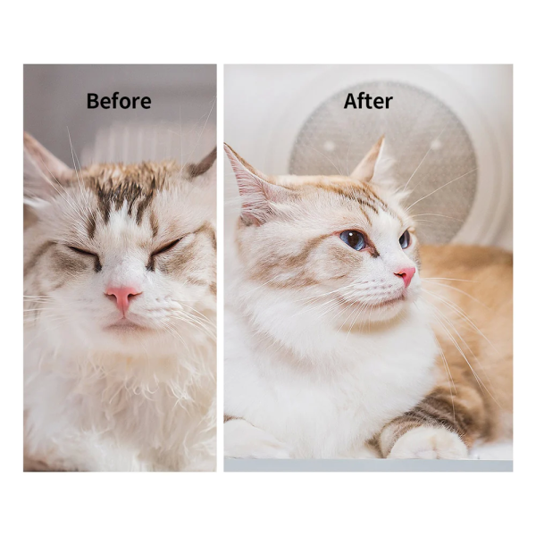 Petkit Airsalon Max Pro Pet Dryer White | Klikk Malta