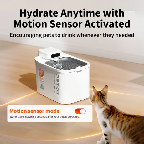PETKIT Eversweet Max 2 100 w/UVC Pump | Klikk Malta