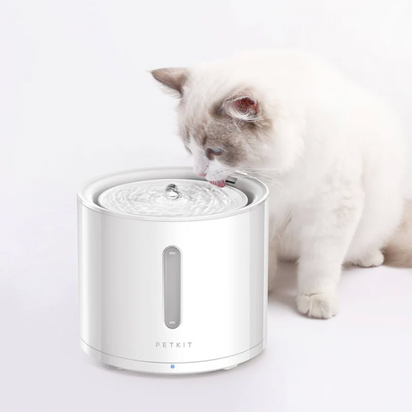 PETKIT EverSweet Solo 2 Smart Water Fountain | Klikk Malta