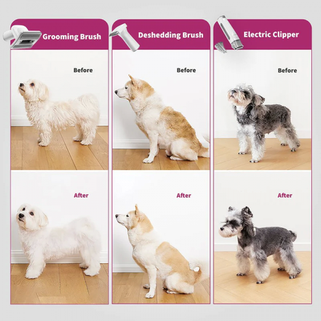 PETKIT FurWaker 5-in-1 Pet Grooming Kit wit... | Klikk Malta