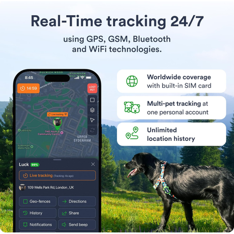 Petloc8 Pet Tracker (subscription needed) | Klikk Malta