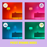 Philips WiZ Hero Smart RGB Portable Lamp 9W | Klikk Malta