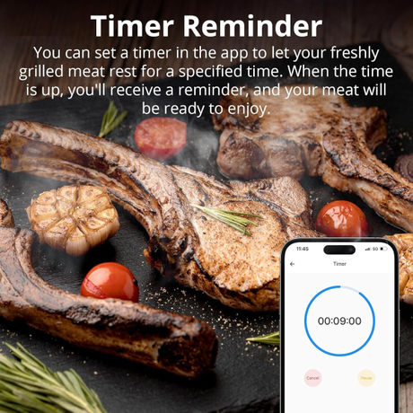 SONOFF BBQ Meat Thermometer | Klikk Malta
