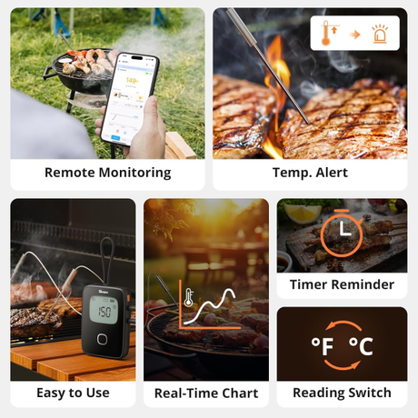 SONOFF BBQ Meat Thermometer | Klikk Malta