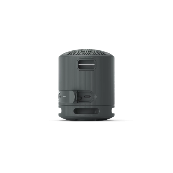 Sony SRS-XB100 Bluetooth Speaker Black | Klikk Malta