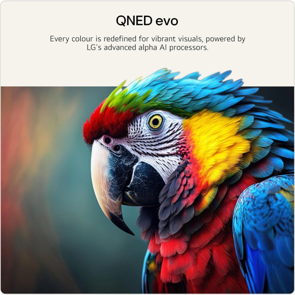LG QNED87 100" 4K QNED Mini LED Smart TV