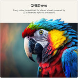 LG QNED87 100" 4K QNED Mini LED Smart TV