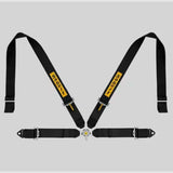 Sabelt SIM Seatbelts Kit