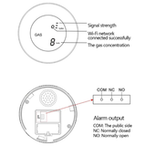 Tuya Smart Wi-Fi Gas Detector with LCD Display | Klikk Malta