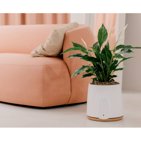 Vitesy Natede Basic White Pot & Cork Base | Klikk Malta