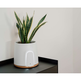 Vitesy Natede Basic White Pot & Cork Base | Klikk Malta