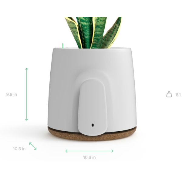 Vitesy Natede Basic White Pot & Cork Base | Klikk Malta