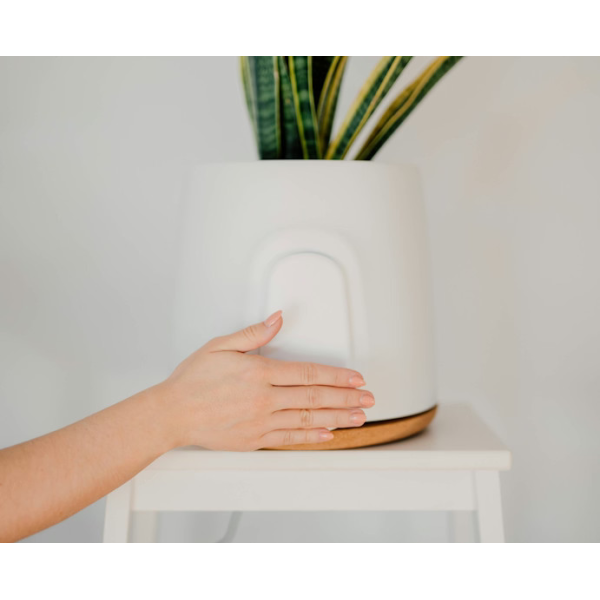 Vitesy Natede Basic White Pot & Cork Base | Klikk Malta