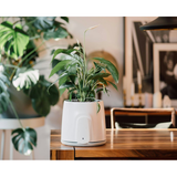 Vitesy Natede Smart White Pot & Grey Base | Klikk Malta
