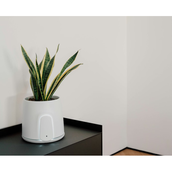 Vitesy Natede Smart White Pot & Grey Base | Klikk Malta
