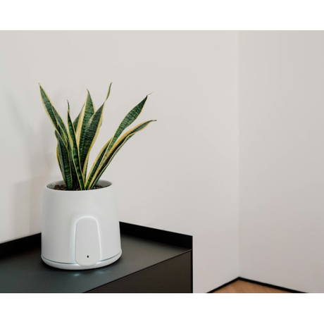 Vitesy Natede Smart White Pot & Grey Base | Klikk Malta