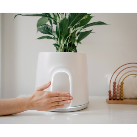 Vitesy Natede Smart White Pot & Grey Base | Klikk Malta