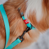 Waudog Waterproof 183cm Luminescent Dog Lea... | Klikk Malta