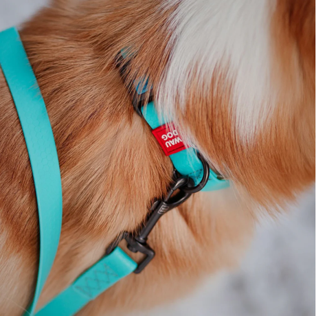 Waudog Waterproof 183cm Luminescent Dog Lea... | Klikk Malta
