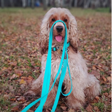 Waudog Waterproof 183cm Luminescent Dog Lea... | Klikk Malta