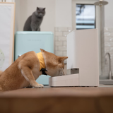 Xiaomi Smart Wi-Fi Pet Food Feeder | Klikk Malta